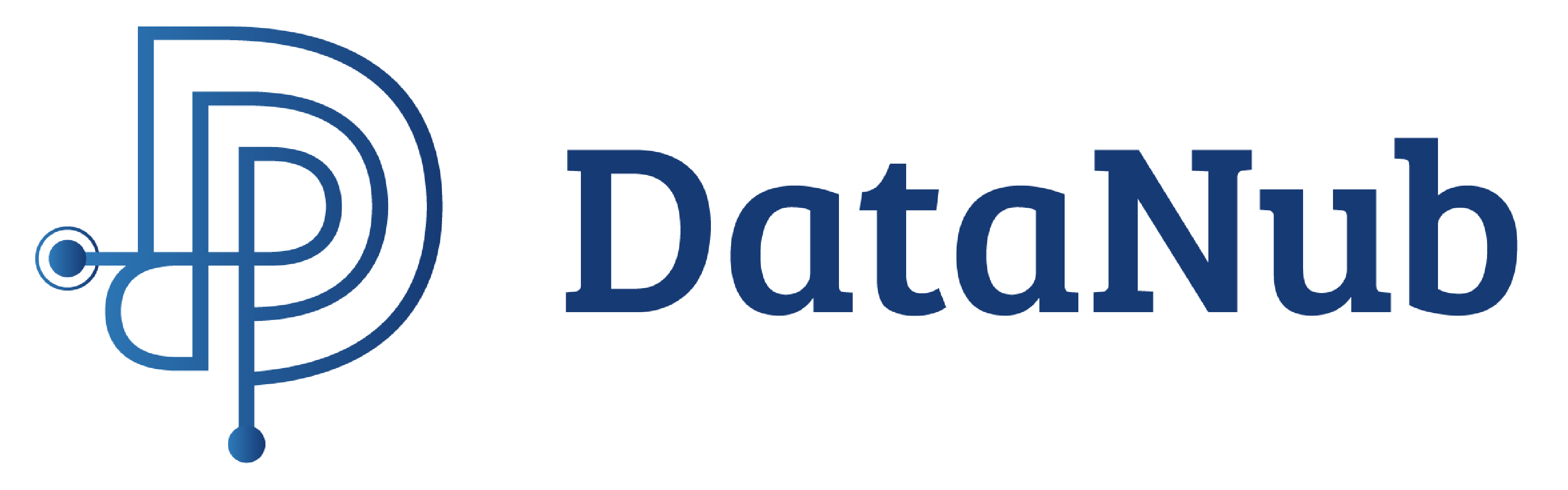 DataNub Logo