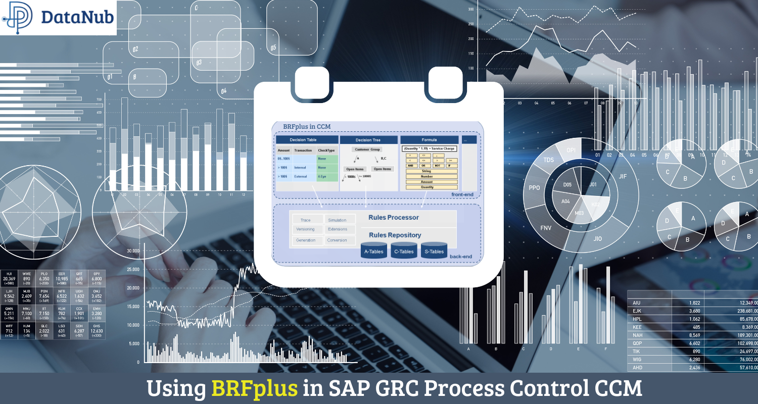 BRF-Plus-in-SAP-GRC-Process-Control-CCM