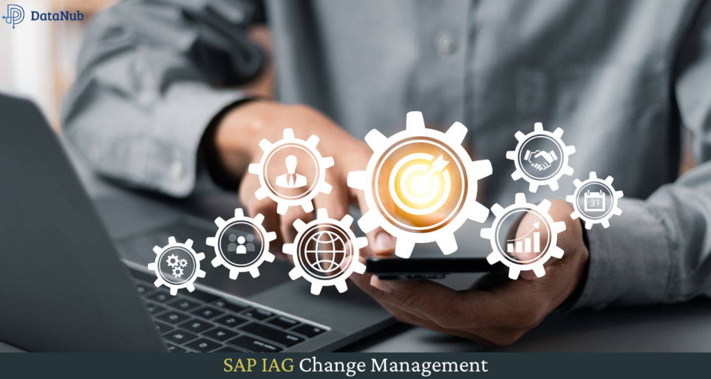 SAP IAG Change Management - DataNub Technologies