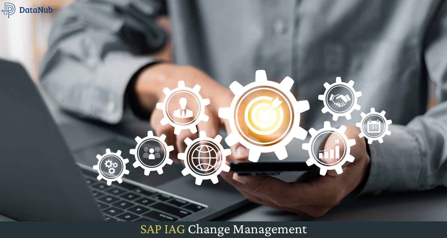 SAP IAG Change Management