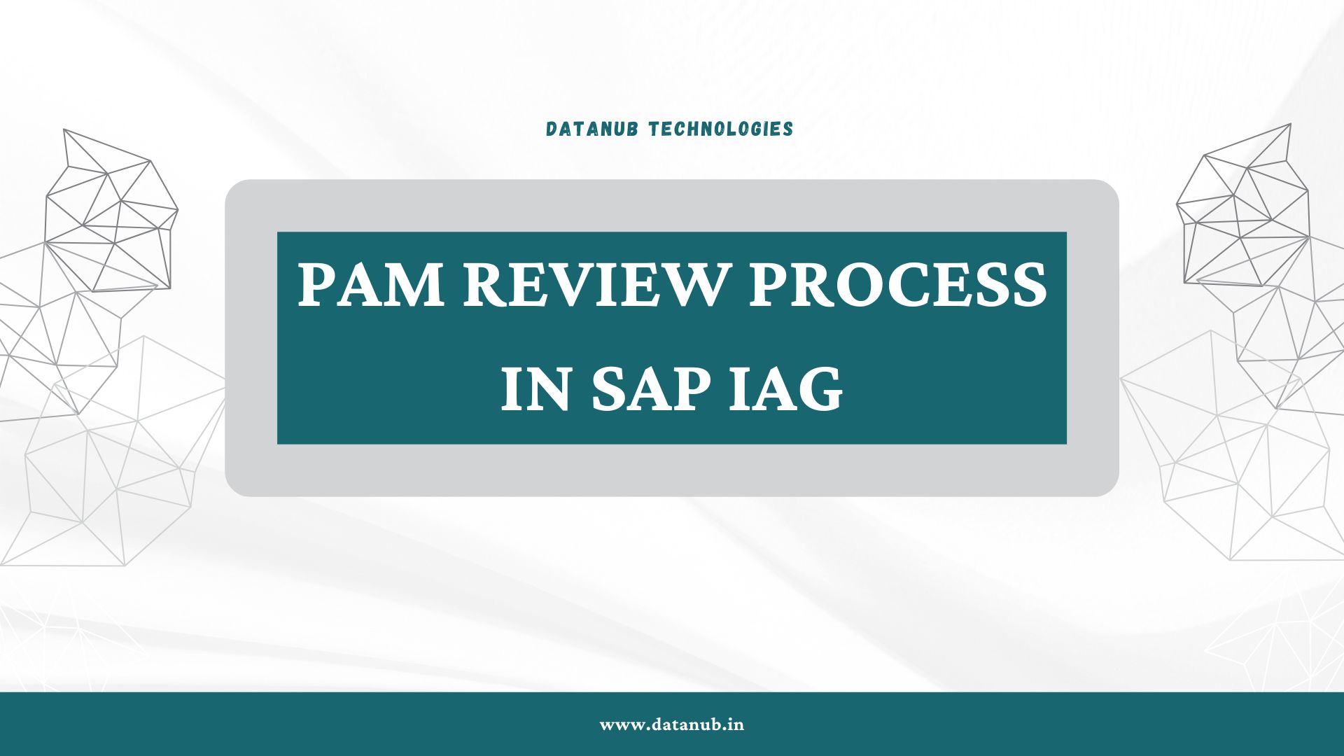 PAM Review Process