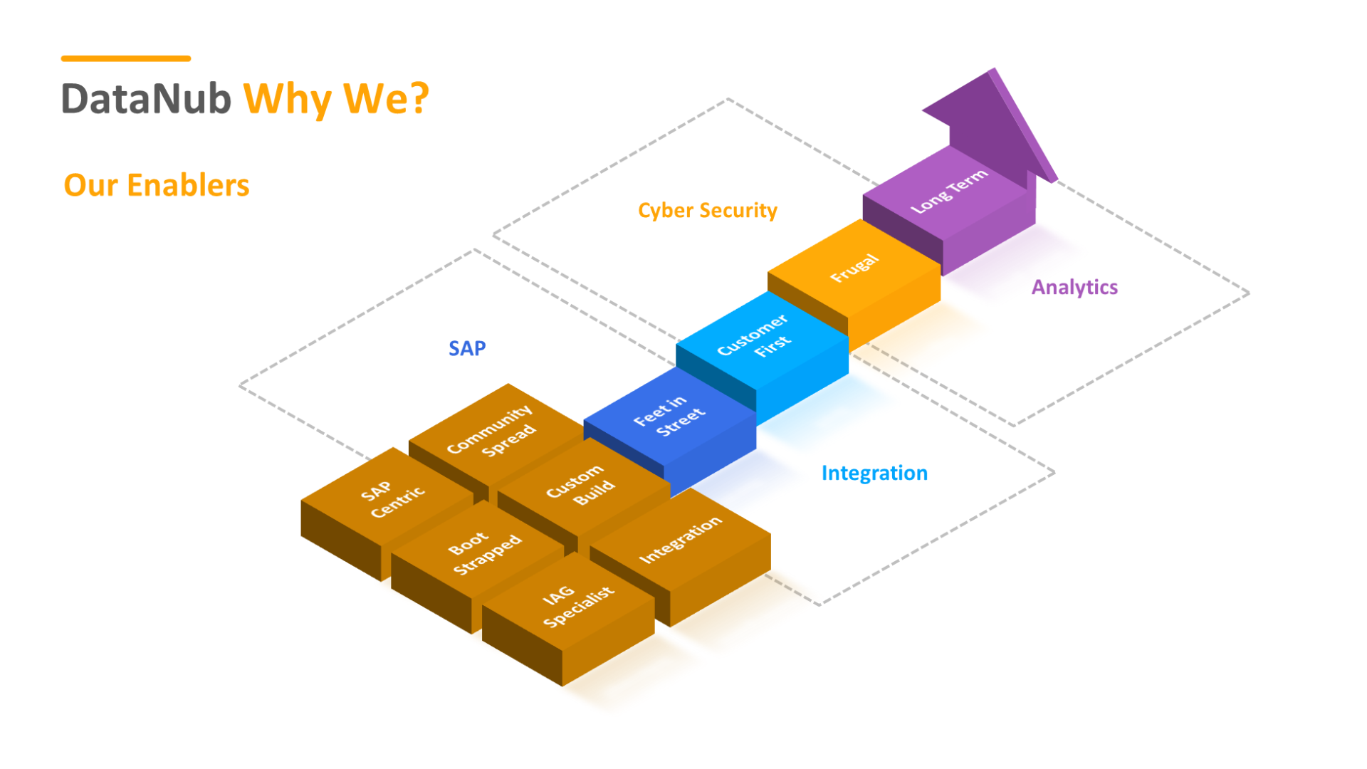 DataNub portfolio SAP cybersecurity SAP integration Analytics SAP Cybersecurity SAP centric