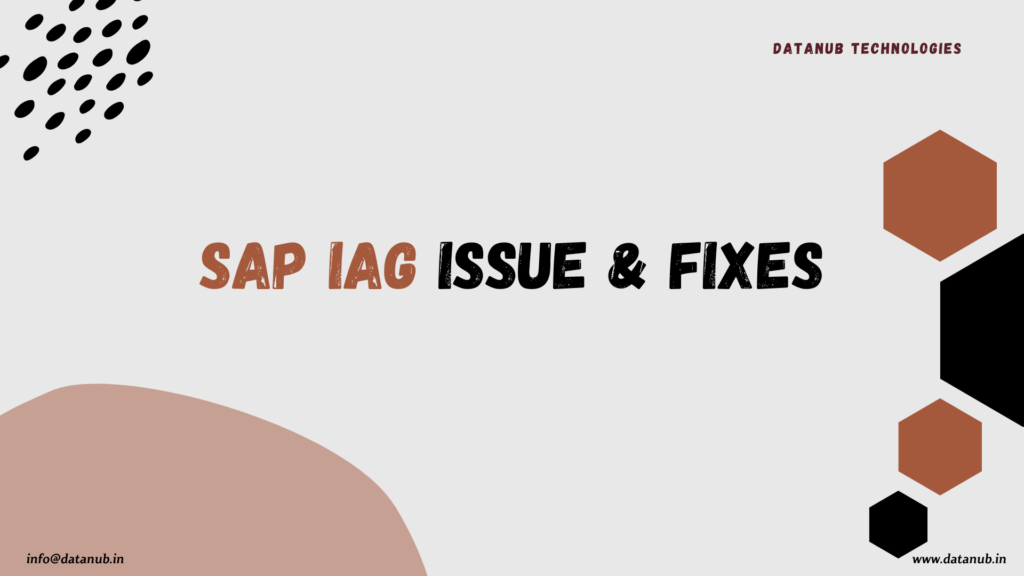 SAP IAG: Issue and Fixes