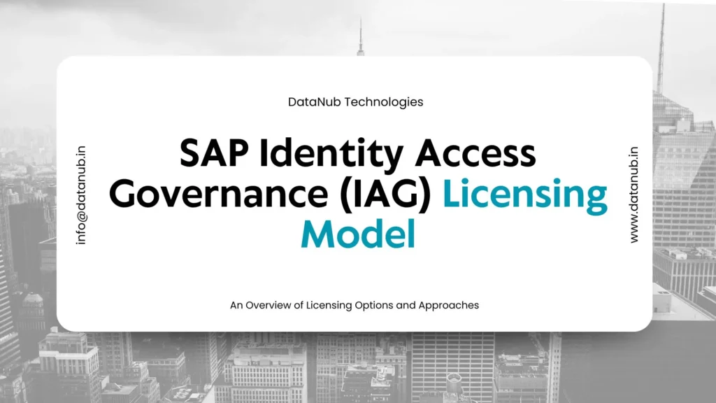SAP IAG Licensing Model