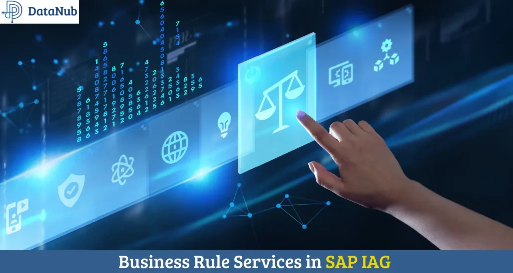Business Rules- SAP IAG