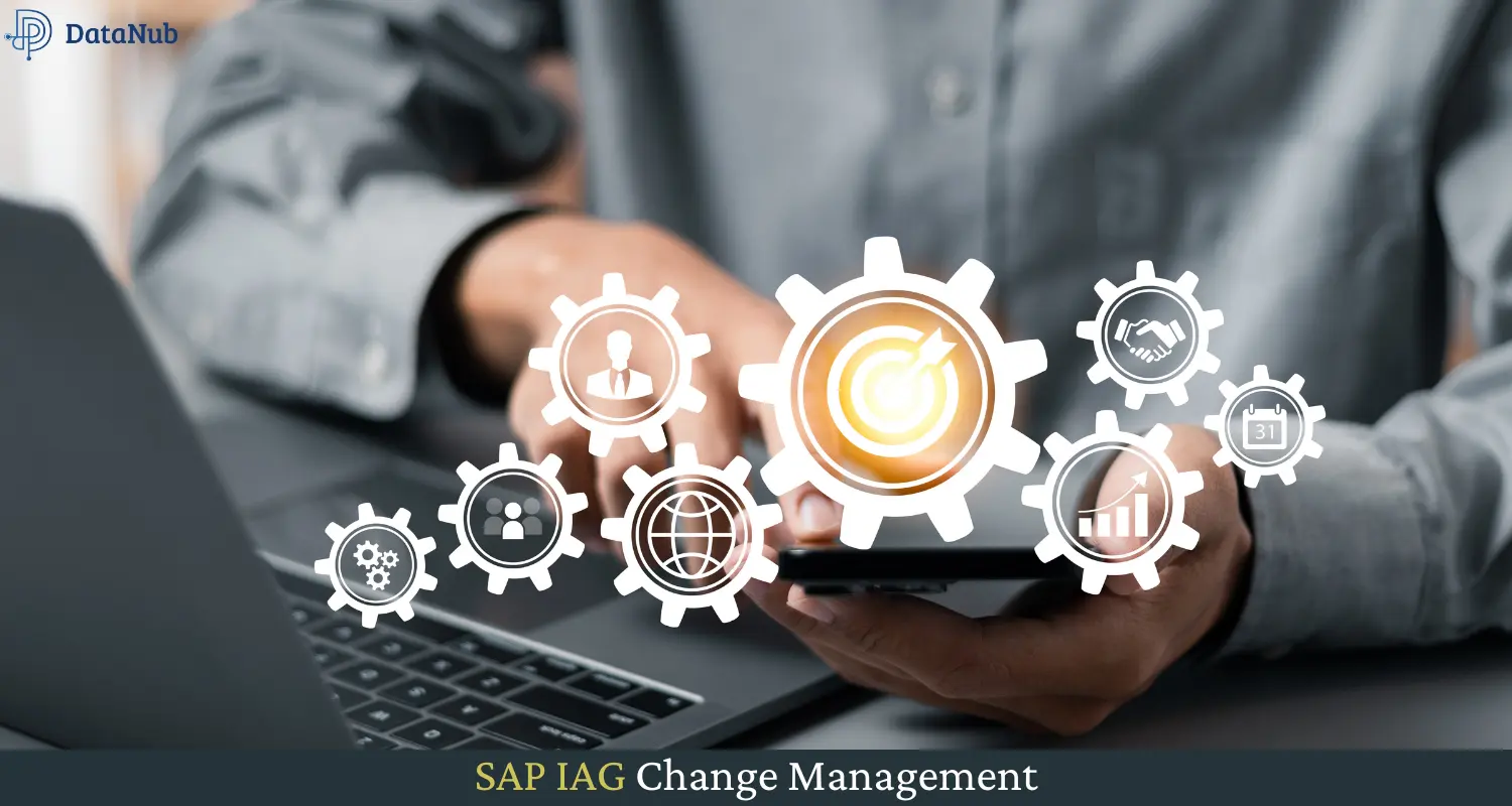 SAP IAG Change Management