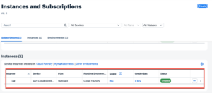 SAP IAG API