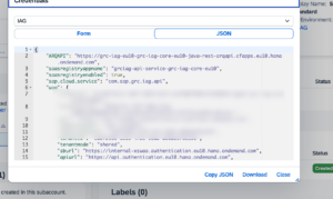 SAP IAG API