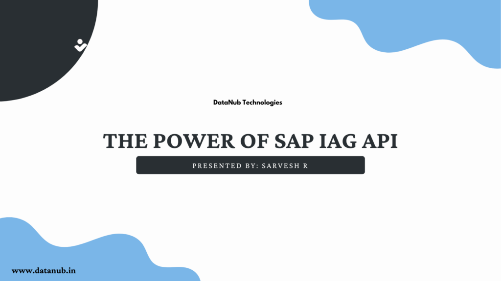 SAP IAG API